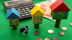 На четверть увеличилась господдержка АПК и сел Алтайского края в 2026 году