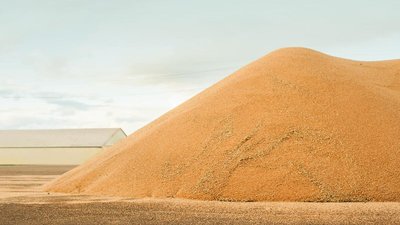 С начала сезона Россия экспортировала рекордный объем пшеницы