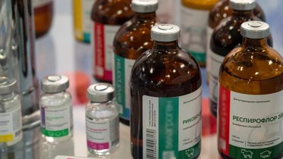 Ученые Россельхознадзора готовы обеспечить вакцинами для сельхозживотных 85% потребностей рынка РФ