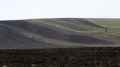 Агропромышленные предприятия Красноярского края получат поддержку на проведение полевых работ