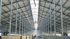 В Подмосковье запустили молочно-товарную ферму