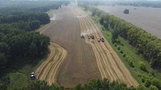 В Новосибирской области собрали 2,02 млн тонн зерна при готовности уборки на 98,5%