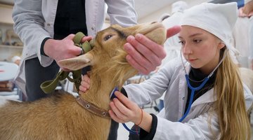 Девять хозяйств Ивановской области получили 1,2 млн рублей на практику студентов