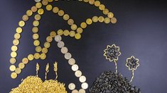 Для аграриев РФ улучшены условия получения выплат по мультирисковой программе страхования урожая