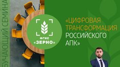 Во ФГИС «Зерно» появился новый функционал для удобства пользователей системы