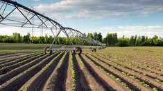 В 2026 году будет поддержано почти 1,3 тысячи проектов по мелиорации