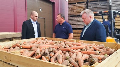 Уборка овощей и картофеля в Ивановской области приближается к «экватору»