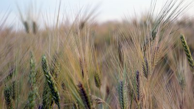 В Томской области началась проверка готовности к полевым работам 2023 года