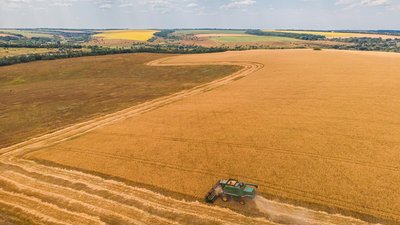 Урожай зерна в Оренбургской области превысил 3 млн т