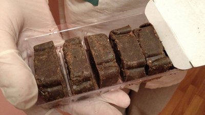 Диких плотоядных животных в Красноярском крае вакцинируют от бешенства