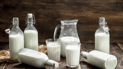 В ДНР развивается производство натуральных молочных продуктов