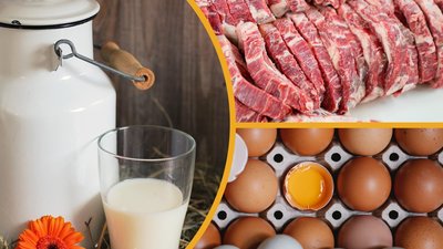 Индекс производства продукции сельского хозяйства в Камчатском крае в 2022 году составил 108,7%