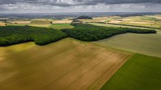 В РФ за четыре года вовлечено в оборот свыше 3 млн га неиспользуемых сельхозземель