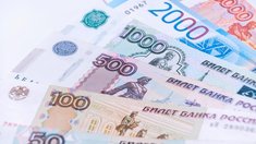 Средняя зарплата в растениеводстве и животноводстве России выросла до 77,5 тыс. рублей