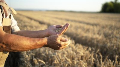 В Астраханской области получателям господдержки АПК направили 694,6 млн руб. 