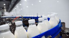 В Чувашии наращивают объемы производства животноводческой продукции