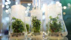 Российский АПК укрепляет технологическую независимость