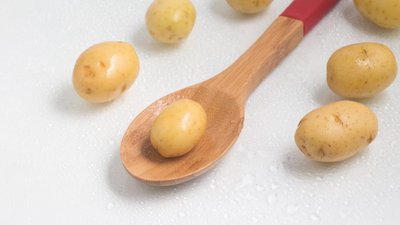 «Мираторг» собрал первый урожай мини-клубней картофеля