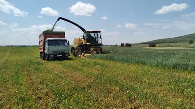Аграрии Ставропольского края приступили к заготовке кормов для животных