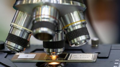 Минсельхоз реализует комплекс мер повышения конкурентоспособности отечественной селекции