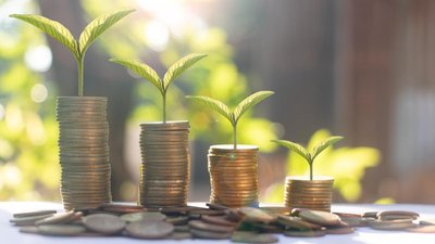 В 2024 году господдержка АПК Тверской области составит 1 млрд руб.