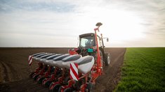 В Новосибирской области засеяно 1,8 млн га яровыми культурами