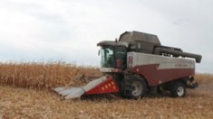 В Липецкой области начали уборку кукурузы с урожайностью 90 центнеров с гектара