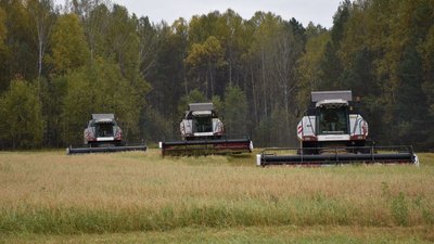 Четыре района Томской области завершили уборочную кампанию