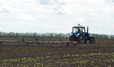 С начала года оренбуржцы приобрели сельхозтехники на сумму свыше 4,3 млрд рублей