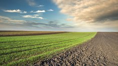 В 51 регионе России планируют расширить посевные площади на 5 млн га к 2030 году