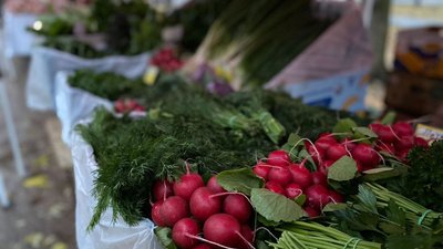 В крымской столице пройдут сельскохозяйственные ярмарки на 5 локациях