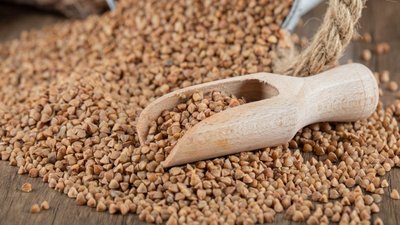 Производство гречневой крупы в РФ в этом сезоне может стать рекордным — ИКАР