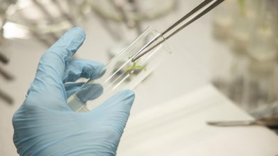 Минсельхоз трансформирует ФНТП развития сельского хозяйства