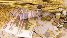 Объем реализации зерновых и зернобобовых в Кузбассе вырос на 38%