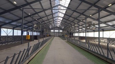 В Ленинградской области вели в строй новые коровники и доильный зал «карусель»
