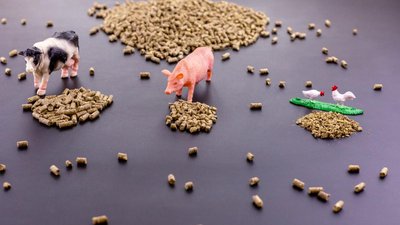 В I квартале 2023 года выпуск готовых кормов для сельхозживотных вырос на 5%