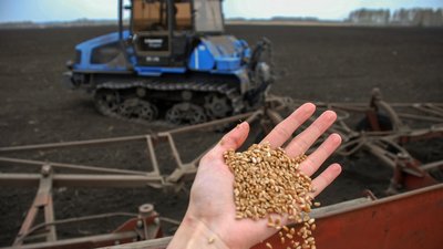 Из Красноярского края за рубеж отгружено 433 тыс. тонн продукции АПК