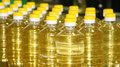 Липецкая область продолжает наращивать производство и экспорт растительных масел