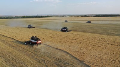 Продэмбарго привело к трехкратному росту объемов производства продуктов питания в Башкортостане