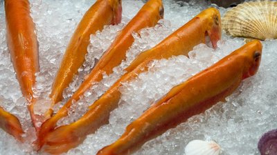Экспорт рыбной продукции из России в 2022 году увеличился на 4,5%