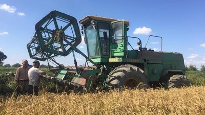 Шарип Шарипов ознакомился с ходом уборки риса в Тарумовском районе Дагестана