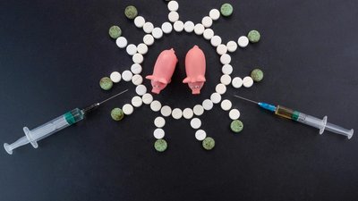 Во Вьетнаме одобрили первые вакцины против АЧС для коммерческого использования — Reuters