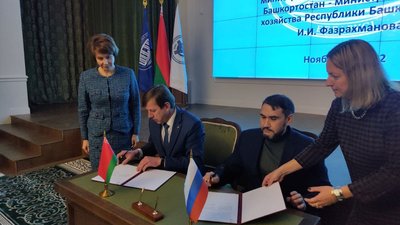 Башкирский «Алтын Солок» и Национальная академия наук Беларуси будут создавать цифровой генетический паспорт пчелы