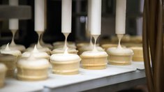 Мороженое из Липецкой области попробуют в Китае