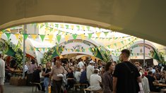 В Чувашии пройдет фестиваль хмеля