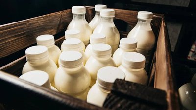 Сельхозтоваропроизводителям Кузбасса выплачены субсидии на закупку молока