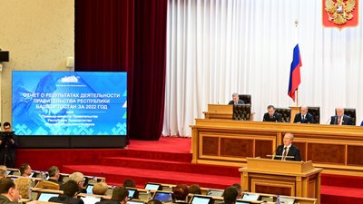 В Башкортостане произвели сельхозпродукции в 2022 году почти на 250 млрд рублей