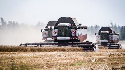 Объём производства АПК Липецкой области приближается к 500 млрд рублей