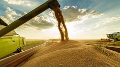 РФ с начала года экспортировала в Китай более 2 млн т зерновой продукции