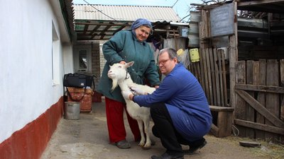 Донские ветврачи в прошлом году сделали более 120 млн прививок животным